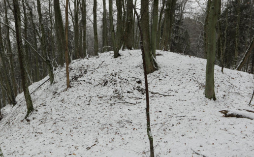 15_NKRP Panemuninku piliakalnis2 (2).jpg